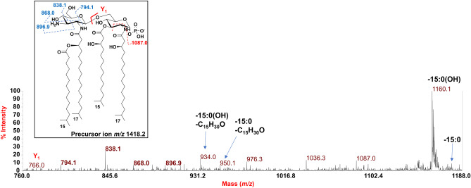 Fig. 8