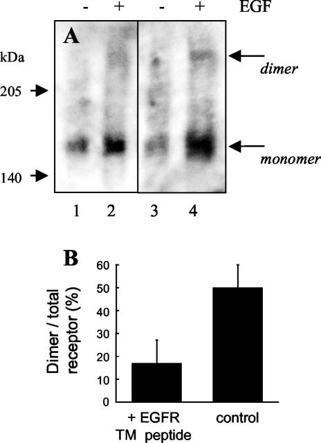 Figure 10.