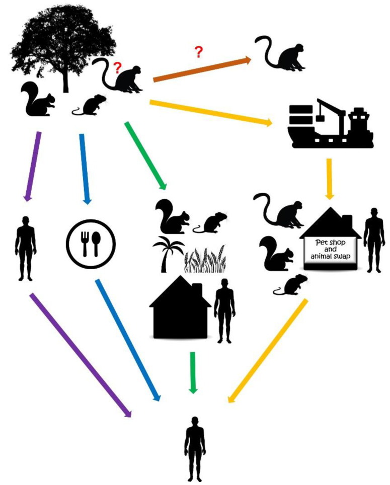 Figure 2