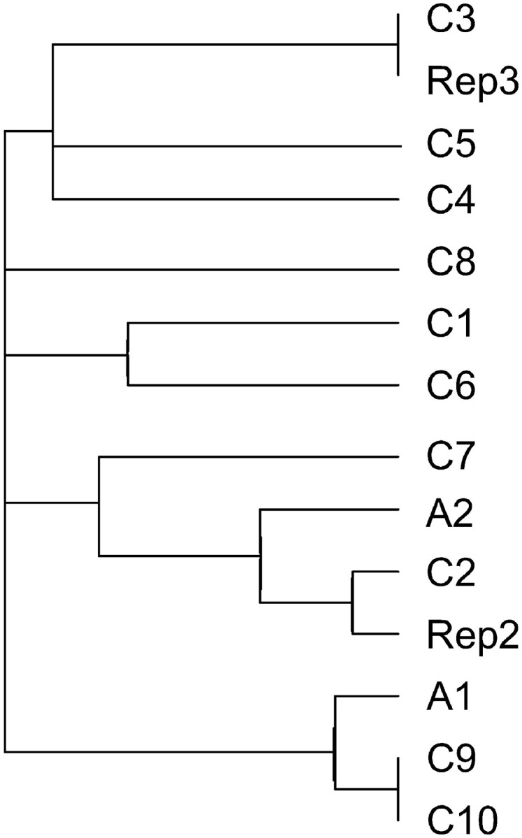 Figure 4.—