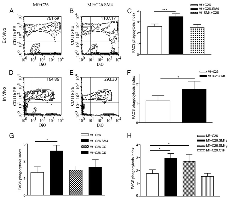 FIGURE 4.