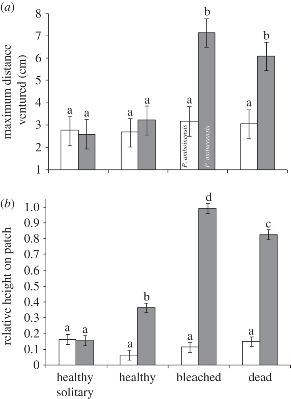 Figure 2.