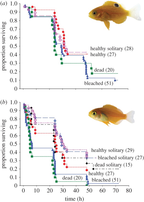 Figure 1.