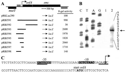 FIG. 1.