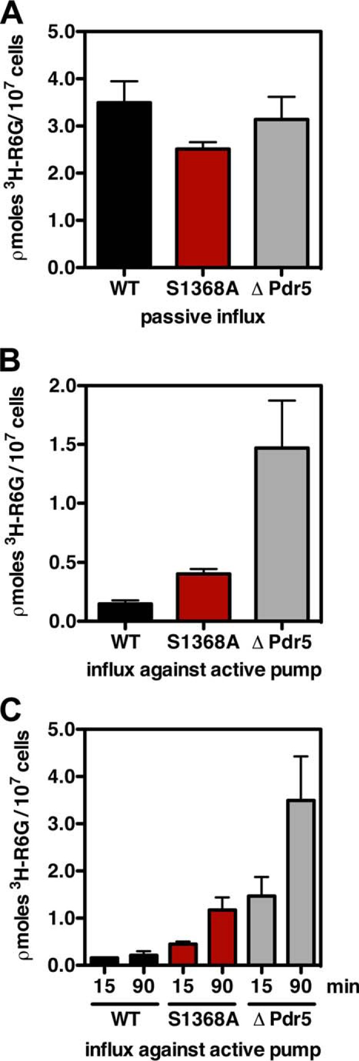 FIGURE 7.