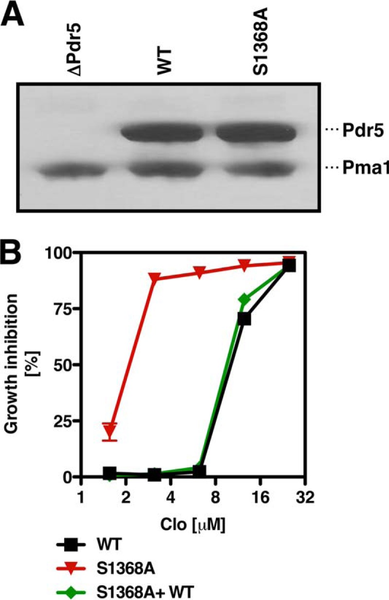 FIGURE 2.