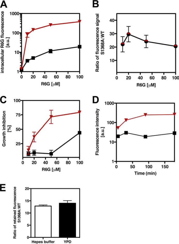 FIGURE 6.