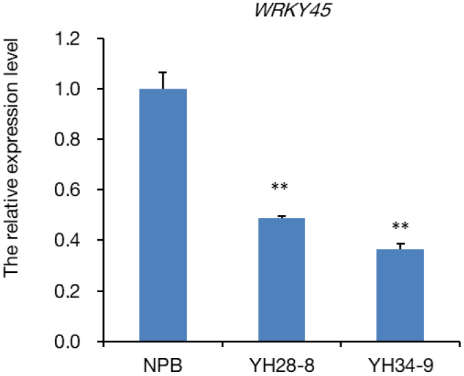 FIGURE 3