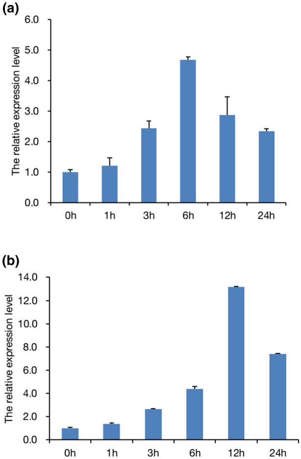 FIGURE 1