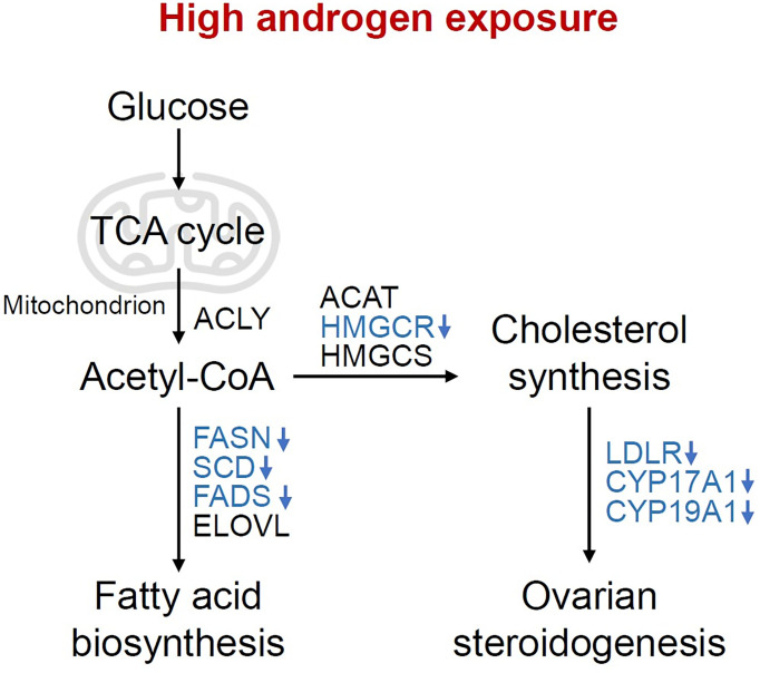 Figure 6