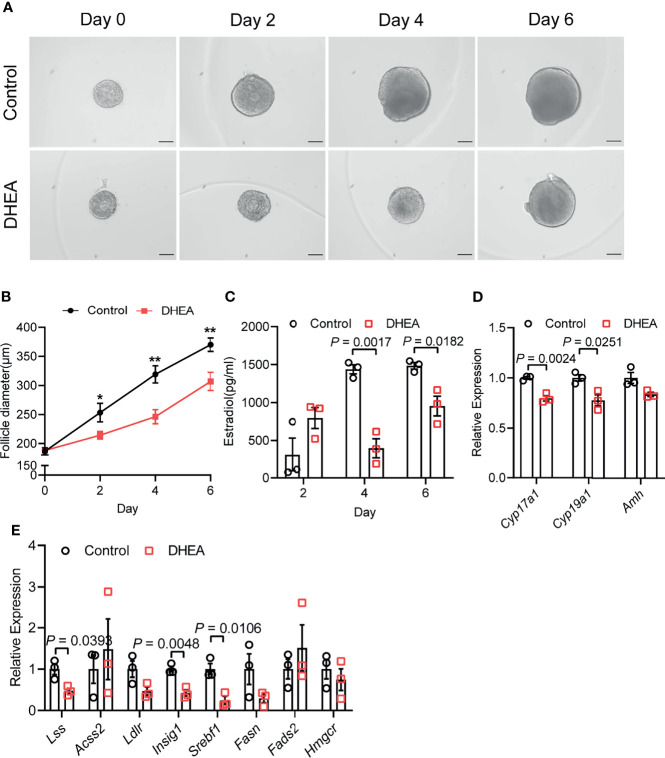 Figure 3