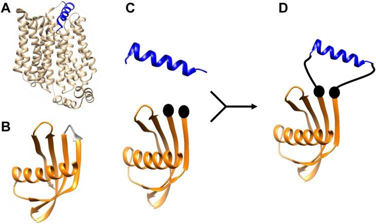 Figure 1