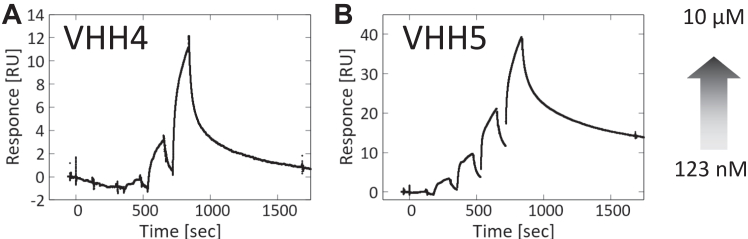 Figure 6