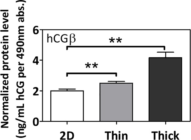 Fig 5