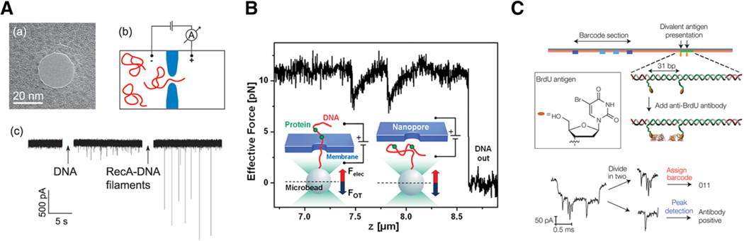 Figure 6.