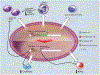 FIG. 2: