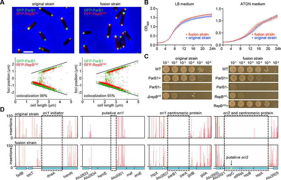 Figure 2.