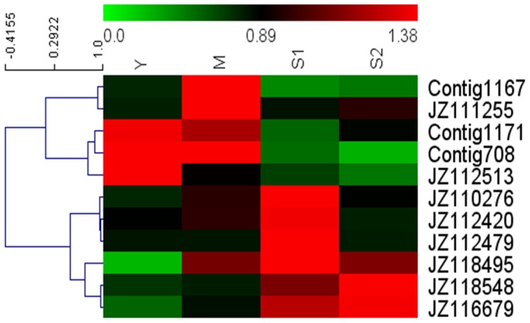 Figure 6