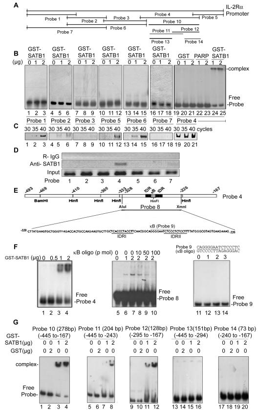 FIG.1.