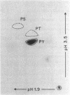 1846