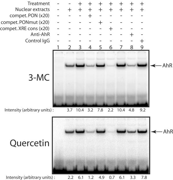 FIG. 7.