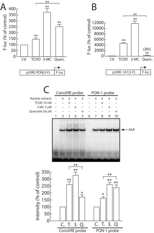 FIG. 8.