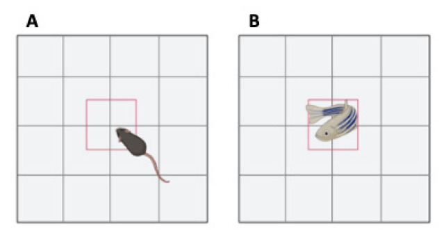 Figure 14