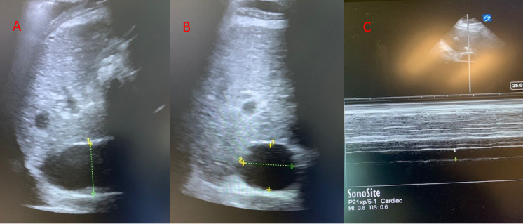 Figure 4 