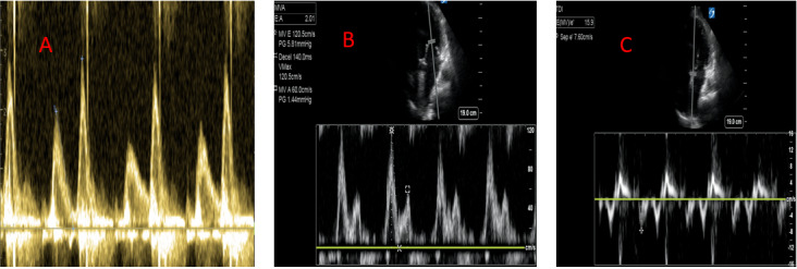 Figure 5 