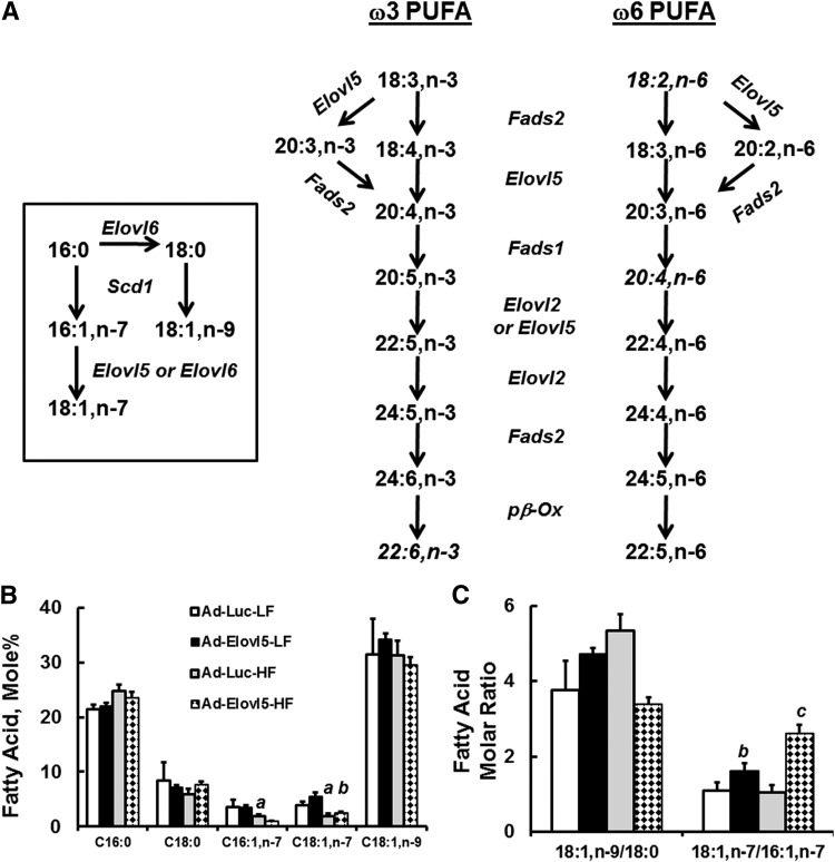 Fig. 8.