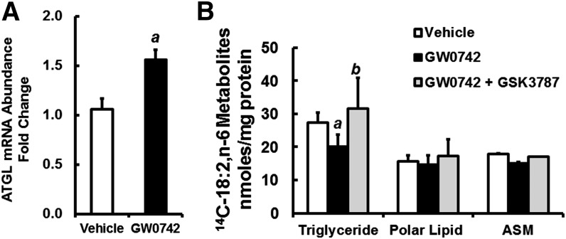 Fig. 11.