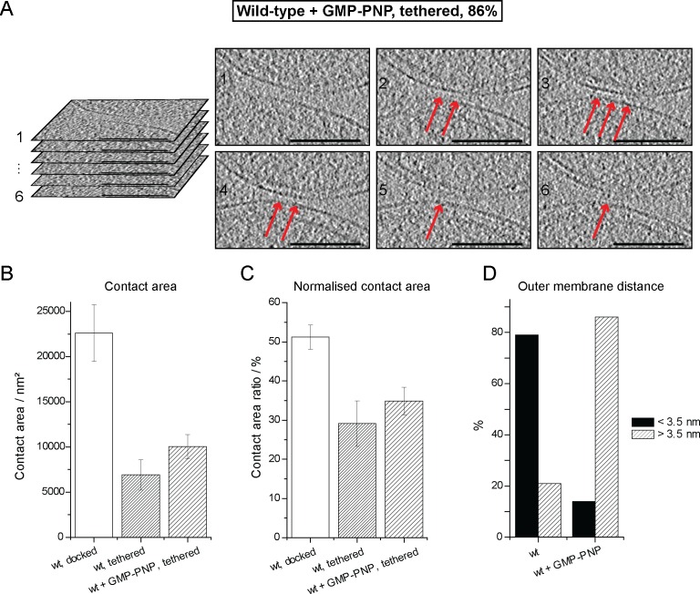 Figure 4—figure supplement 1.