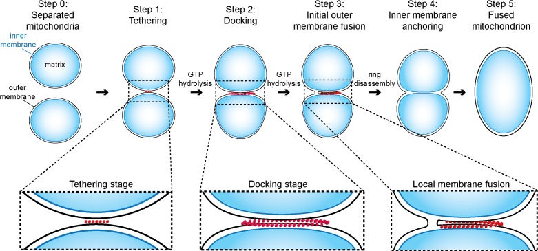 Figure 9.