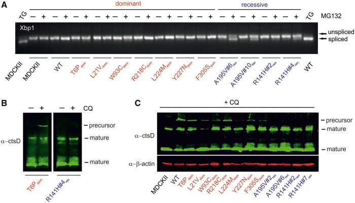 Figure 6.