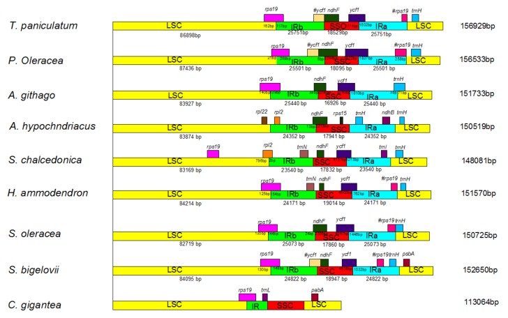 Figure 7