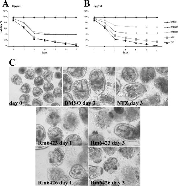 FIG. 5.