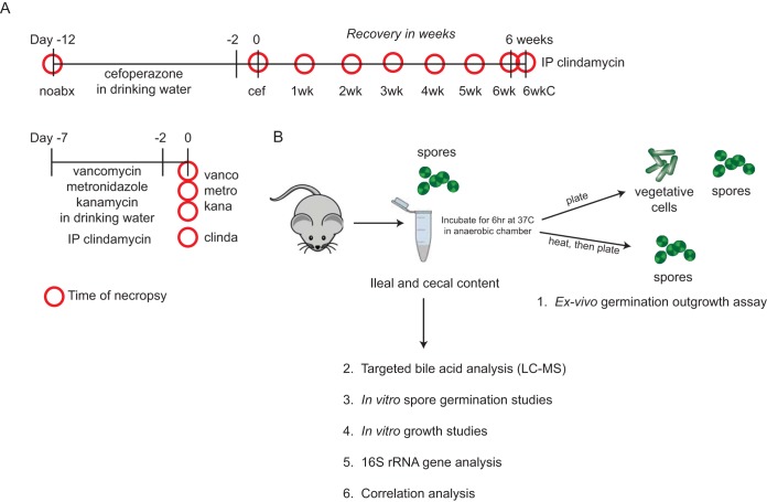 FIG 1 