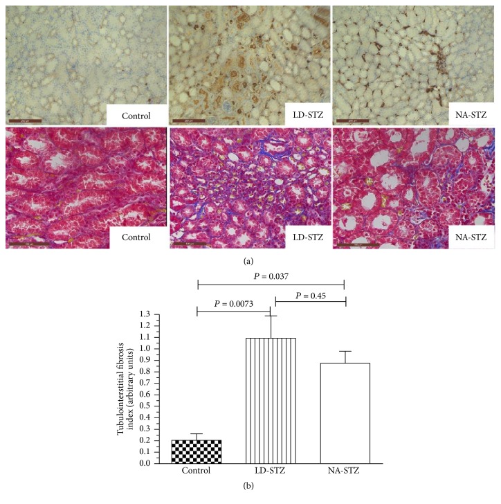 Figure 12