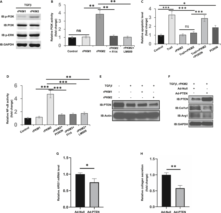 Figure 6