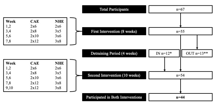 A diagram of a number of participants Description automatically generated