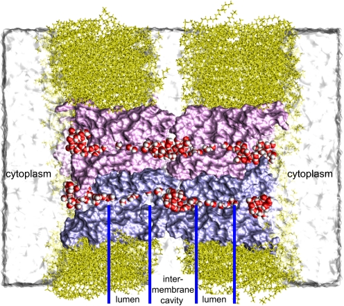 Fig. 1.