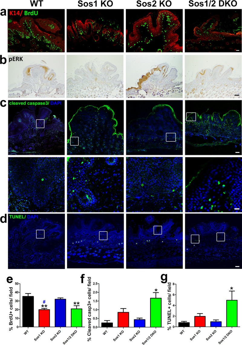 FIG 6