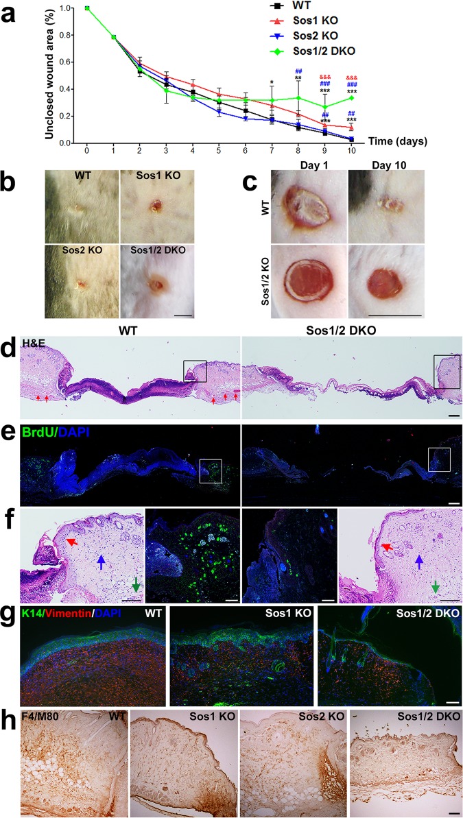 FIG 4