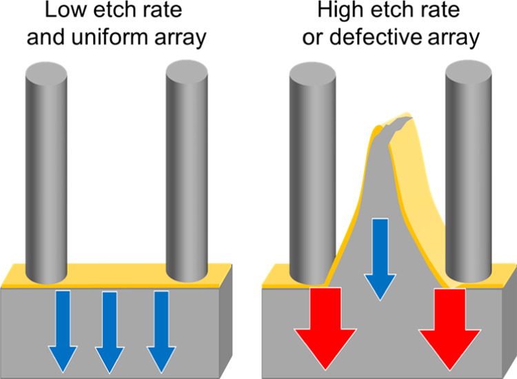 graphic file with name cm0c03593_0010.jpg