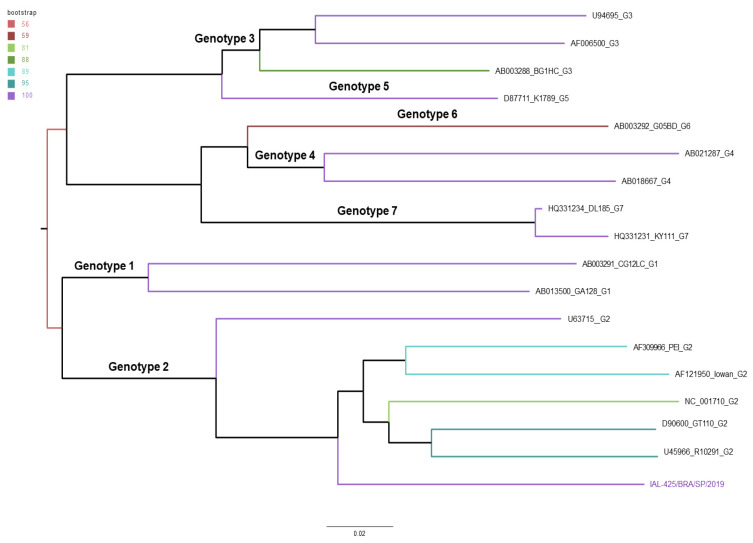 Figure 2