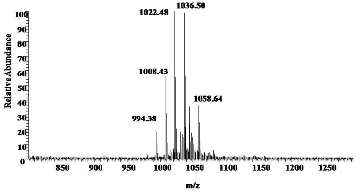 FIGURE 3