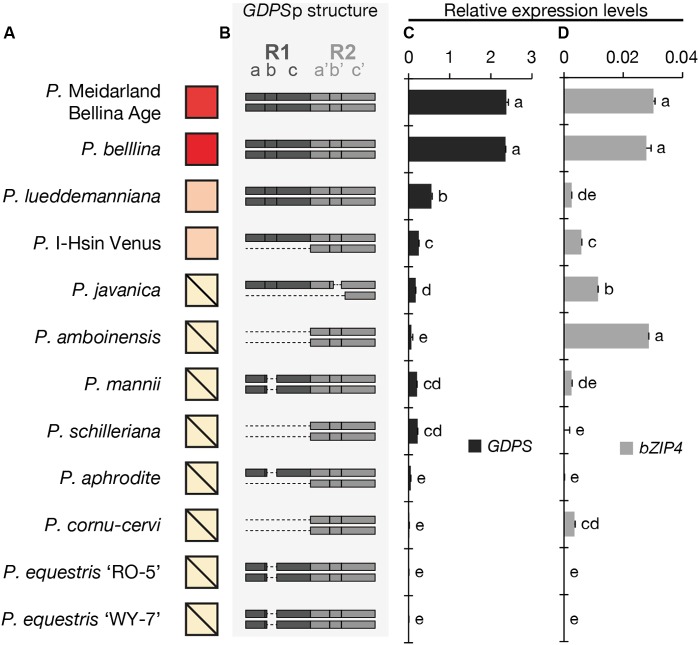 FIGURE 2