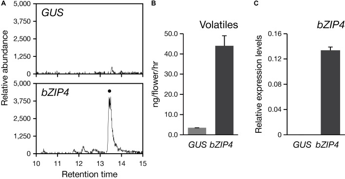 FIGURE 7