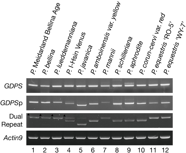 FIGURE 3