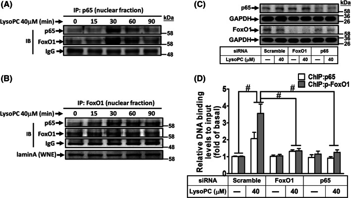 Fig. 6